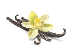 VANILLA