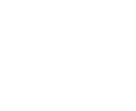 background-white
