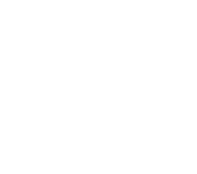 background-white